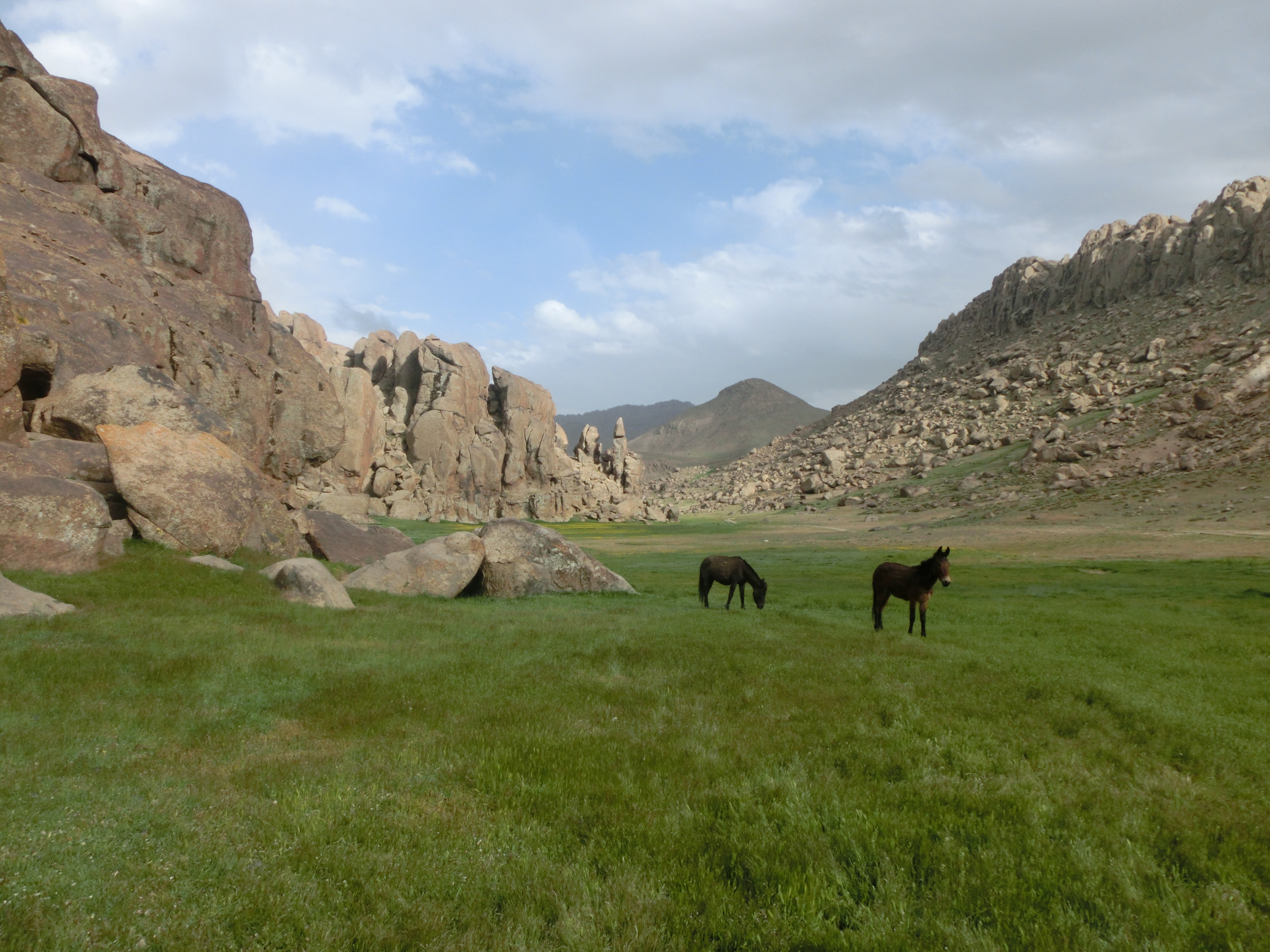 Jbel Siroua Trekking – CIMG6860
